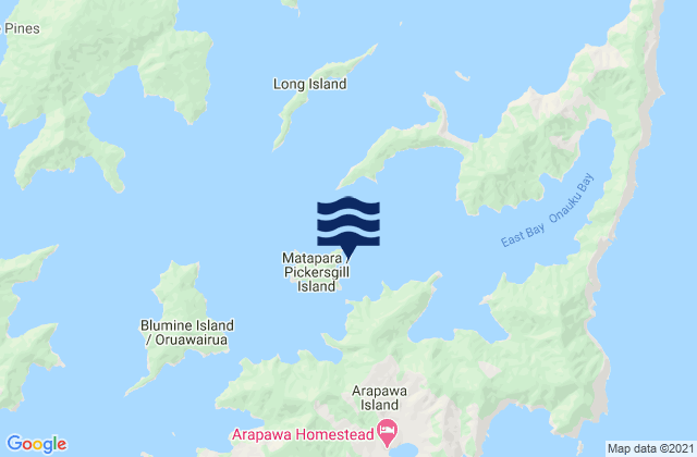 Karte der Gezeiten Fitzgerald Bay, New Zealand