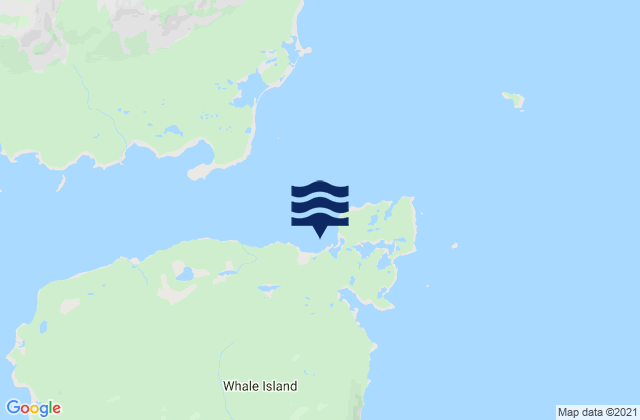 Karte der Gezeiten Fox Bay (Whale Island), United States