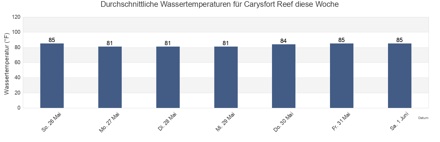 Wassertemperatur in Carysfort Reef, Miami-Dade County, Florida, United States für die Woche