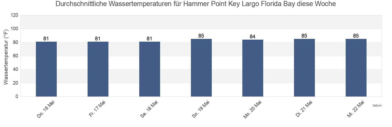 Wassertemperatur in Hammer Point Key Largo Florida Bay, Miami-Dade County, Florida, United States für die Woche