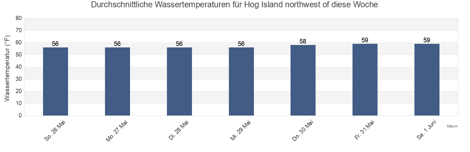 Wassertemperatur in Hog Island northwest of, Bristol County, Rhode Island, United States für die Woche