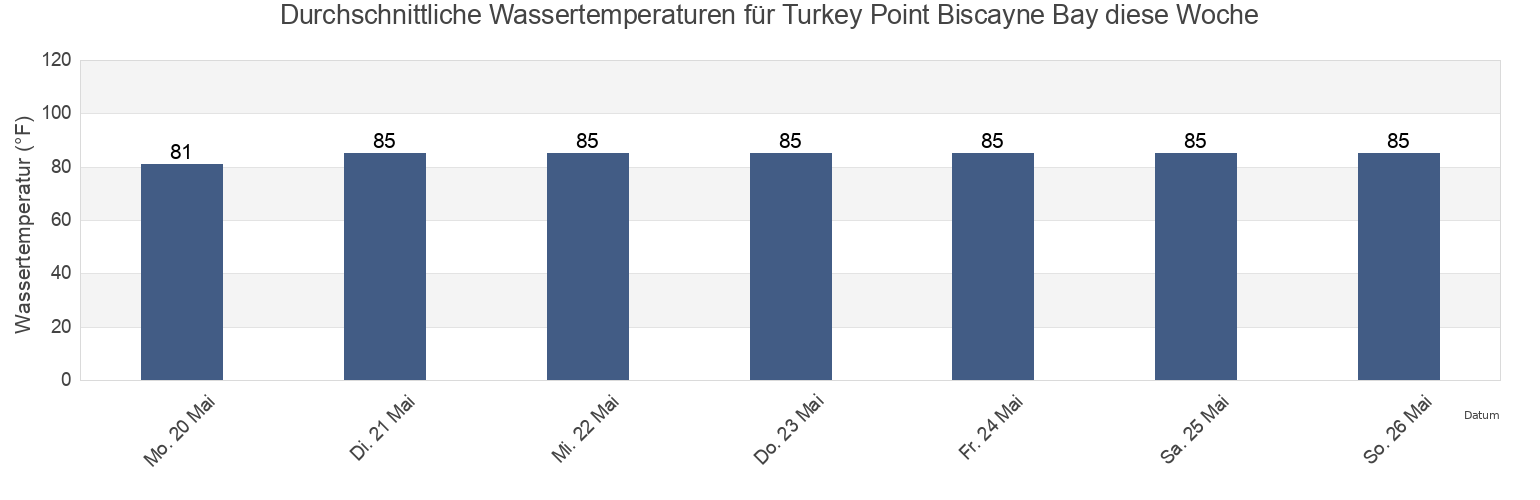 Wassertemperatur in Turkey Point Biscayne Bay, Miami-Dade County, Florida, United States für die Woche
